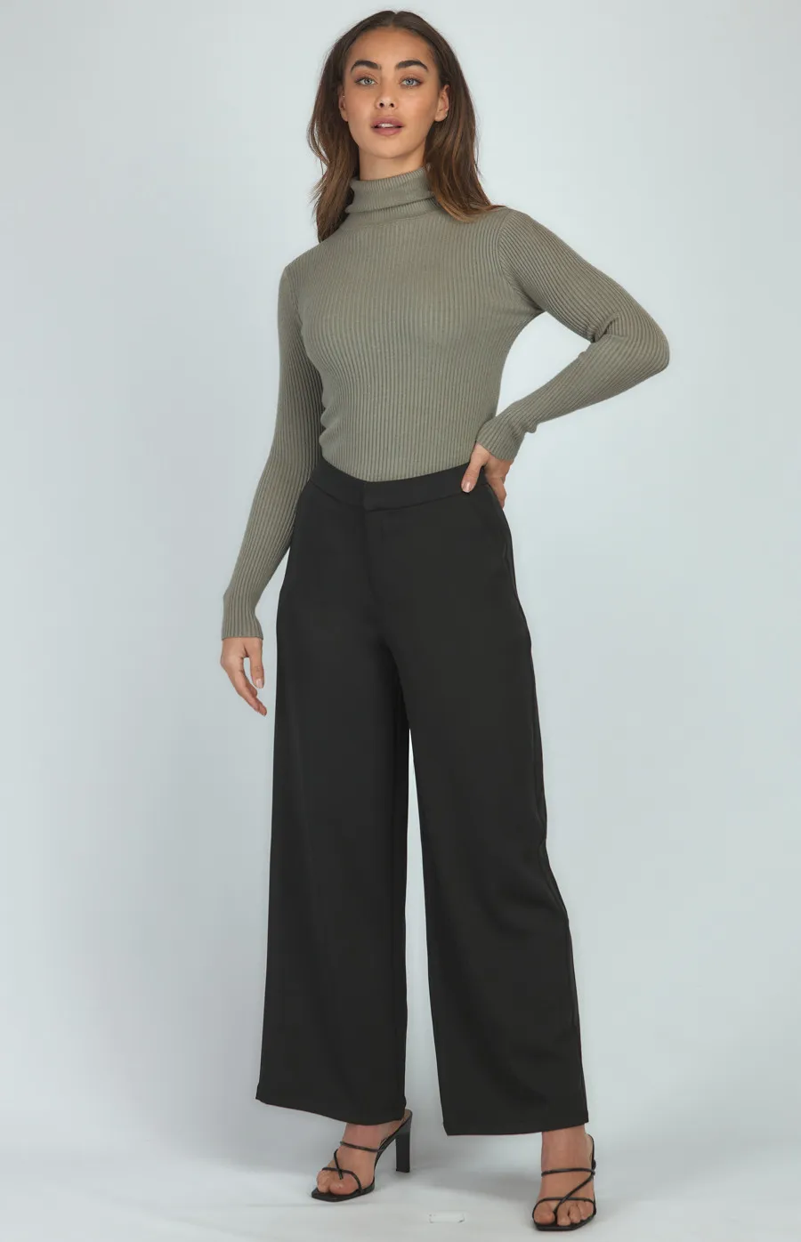 High Waisted Wide Leg Pants (SPA399B)