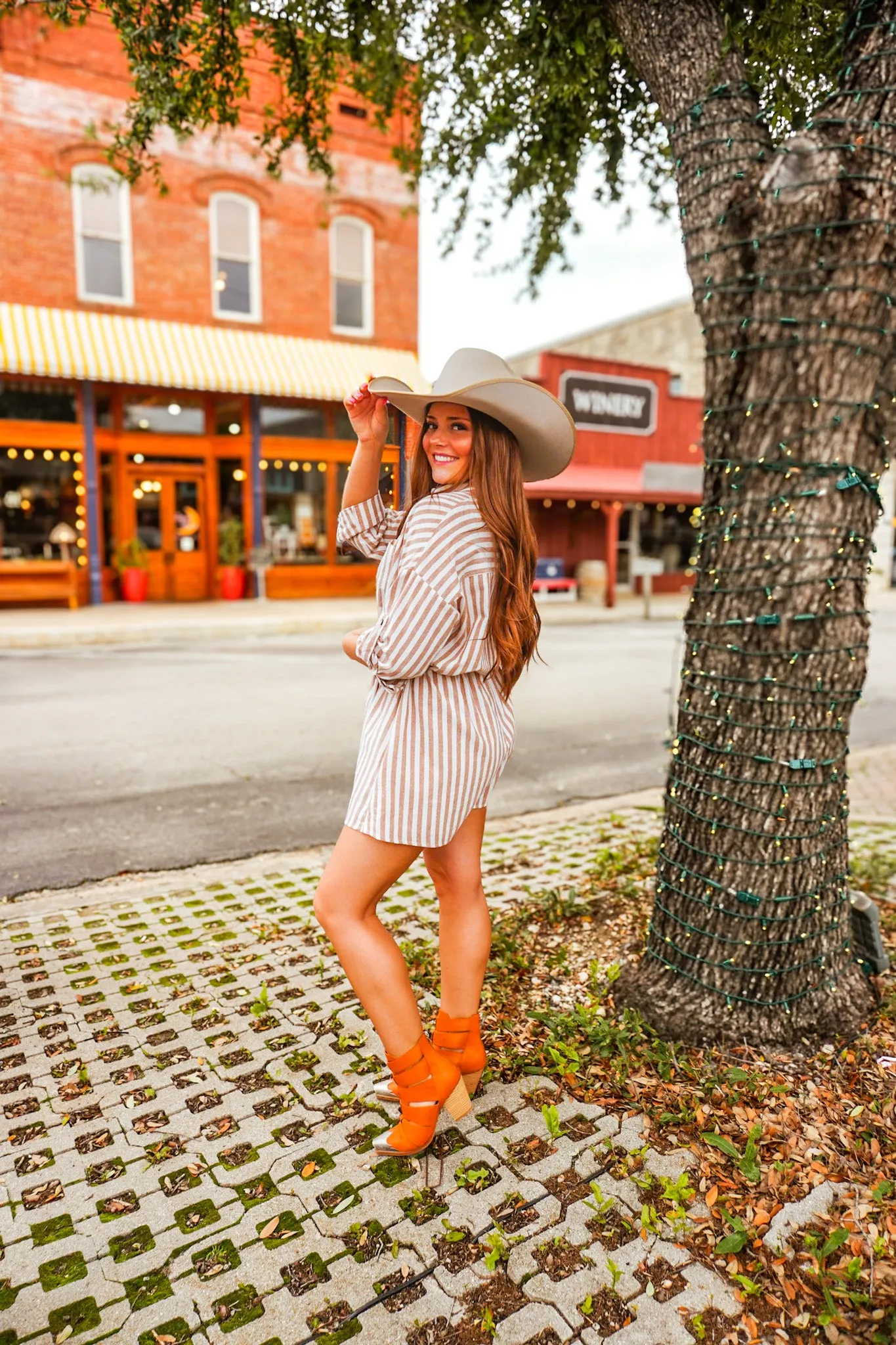 The Yareli Shirt Dress